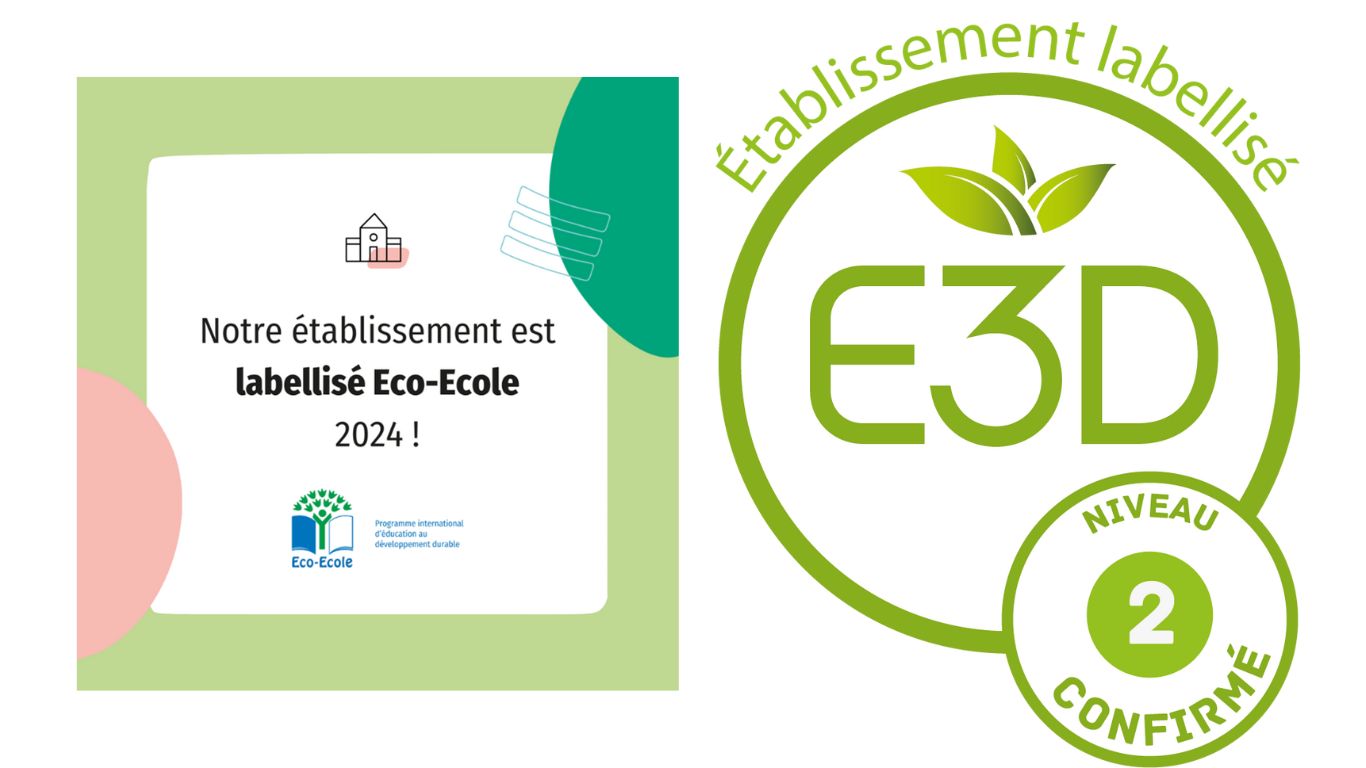 You are currently viewing Labellisation  de l’école : Eco-Ecole et E3D